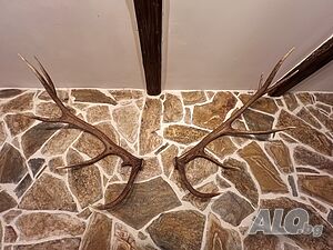 image_10