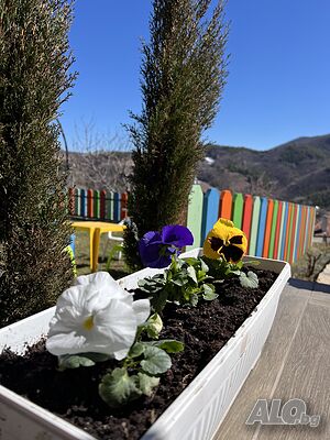 image_47