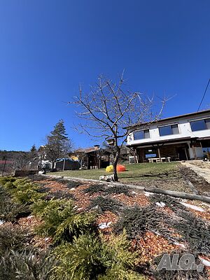 image_48