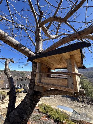 image_49