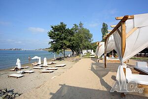 image_31