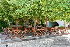 image_22