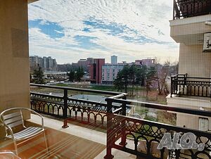 image_10