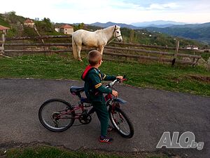 image_9