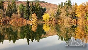 image_23