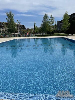 image_16