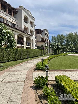 image_11