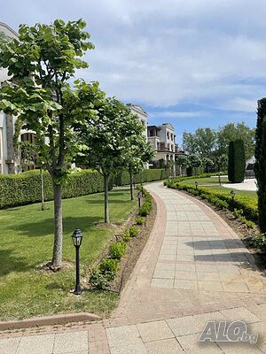 image_13
