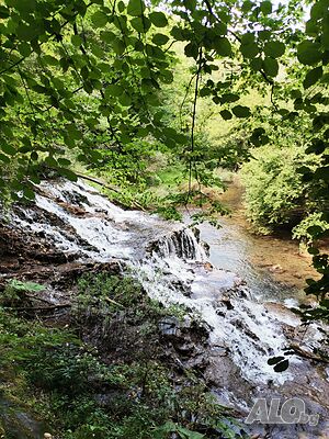 image_9