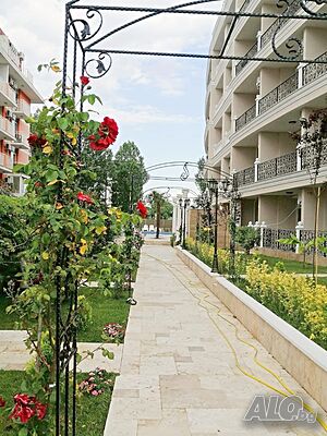 image_11
