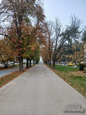 image_8