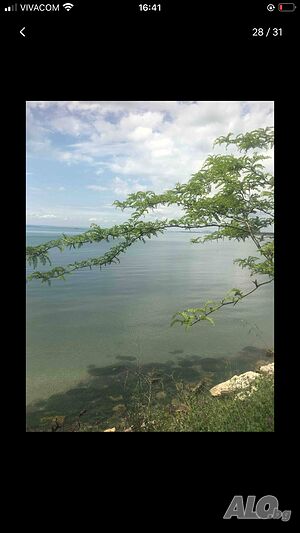 image_15