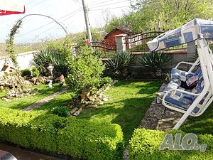 image_6