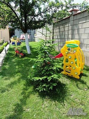 image_12