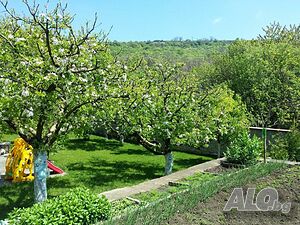 image_31