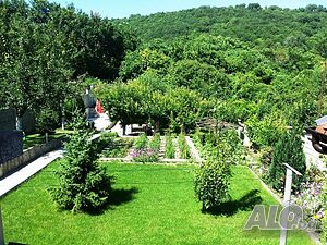 image_11