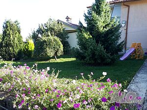 image_23