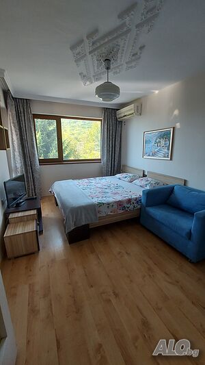 image_37