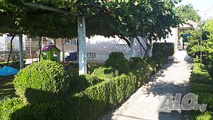 image_11