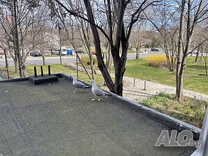 image_12