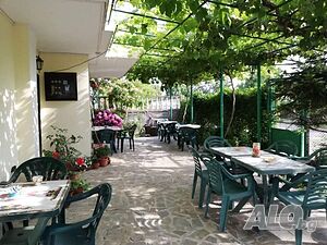 image_18