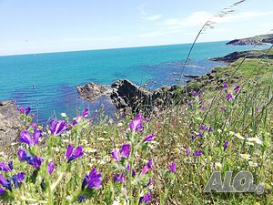 image_27