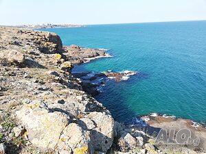 image_35
