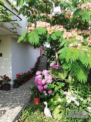 image_33