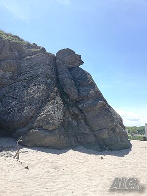 image_42