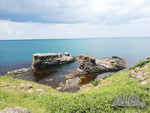 image_9