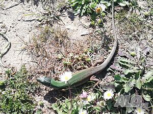 image_20