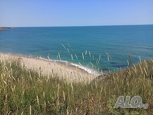 image_23