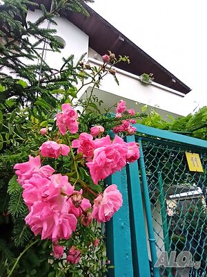 image_24