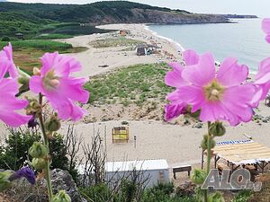 image_53