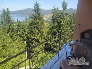image_8