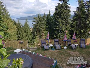 image_40