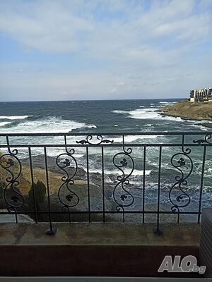 image_11