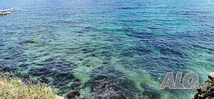 image_10