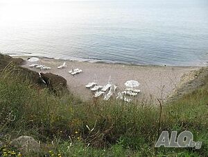 image_37