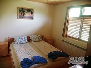 image_11