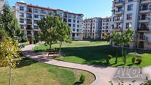 image_19