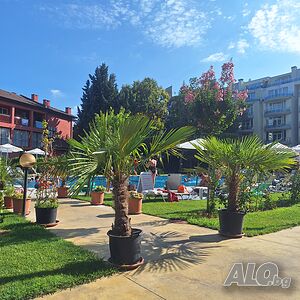 нощувки Почивка в Равда