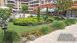 image_37
