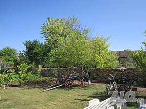 image_6