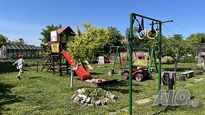 image_29