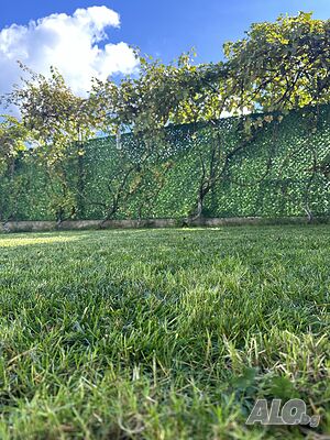 image_15