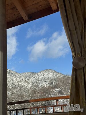 image_45