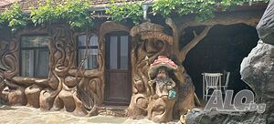 image_12