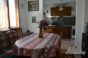 image_33
