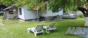 image_15